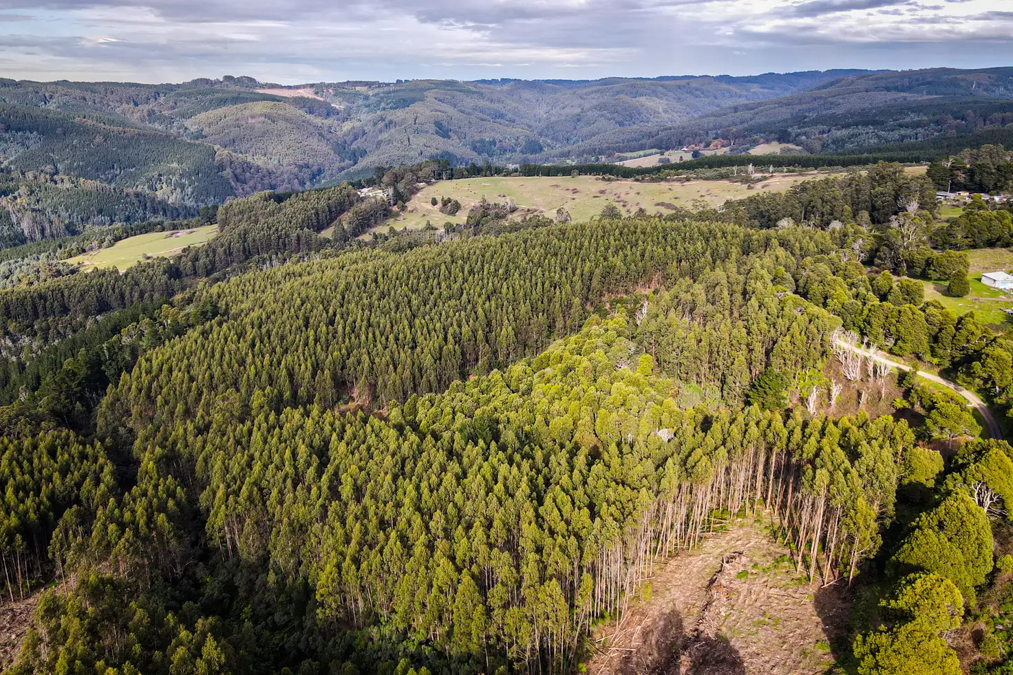 Main view of Homely rural property listing, LOT 1/LP20 Callignee South Road, Callignee South VIC 3844