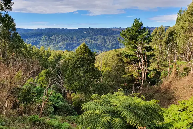 Third view of Homely rural property listing, LOT 1/LP20 Callignee South Road, Callignee South VIC 3844