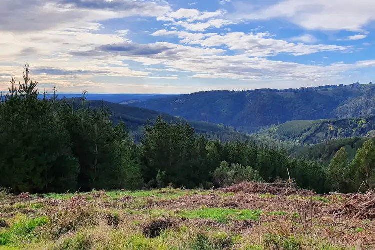 Fourth view of Homely rural property listing, LOT 1/LP20 Callignee South Road, Callignee South VIC 3844