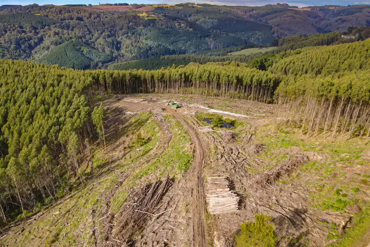 Fifth view of Homely rural property listing, LOT 1/LP20 Callignee South Road, Callignee South VIC 3844