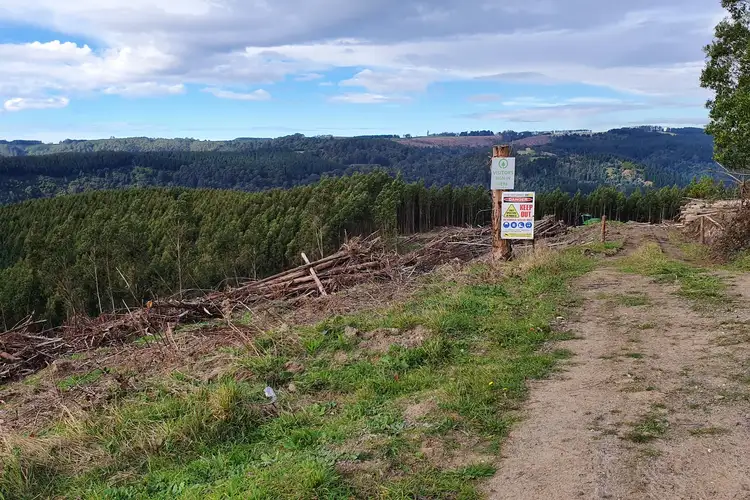 Sixth view of Homely rural property listing, LOT 1/LP20 Callignee South Road, Callignee South VIC 3844