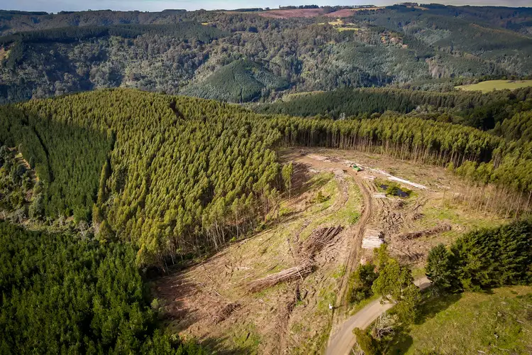 Seventh view of Homely rural property listing, LOT 1/LP20 Callignee South Road, Callignee South VIC 3844