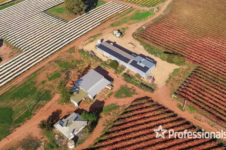 Main view of Homely rural property listing, 180 Stewart Road, Red Cliffs VIC 3496