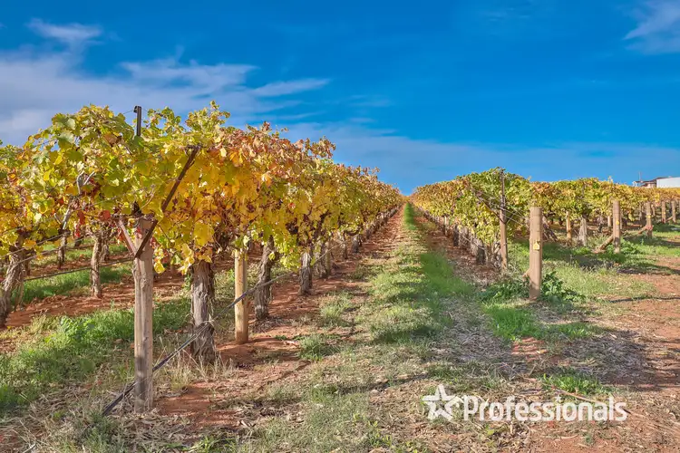 Third view of Homely rural property listing, 180 Stewart Road, Red Cliffs VIC 3496