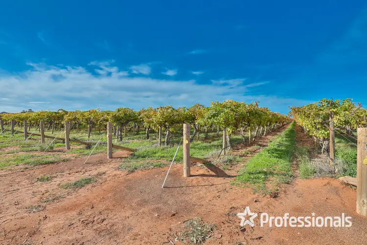 Fifth view of Homely rural property listing, 180 Stewart Road, Red Cliffs VIC 3496