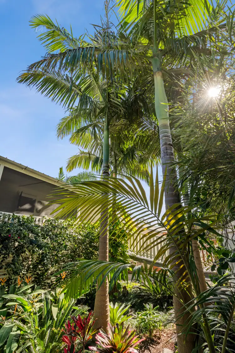 Third view of Homely house listing, 12 Leslie Drive, Noosa Heads QLD 4567