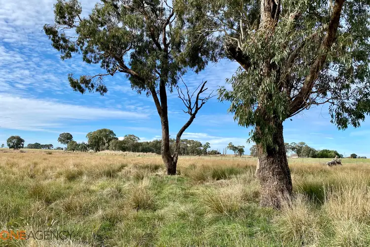 Fifth view of Homely land listing, 22 Springvale Lane, Millthorpe NSW 2798