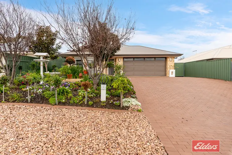 Second view of Homely house listing, 9 Trestrail Circuit, Williamstown SA 5351