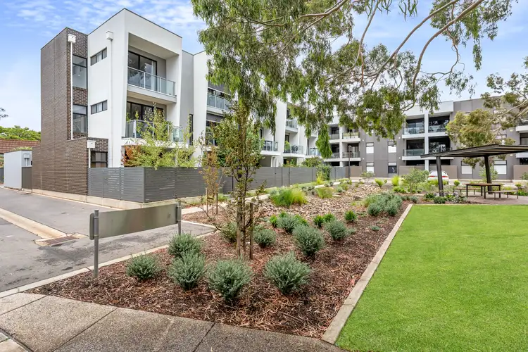 7E Arabella Court, Marden SA 5070