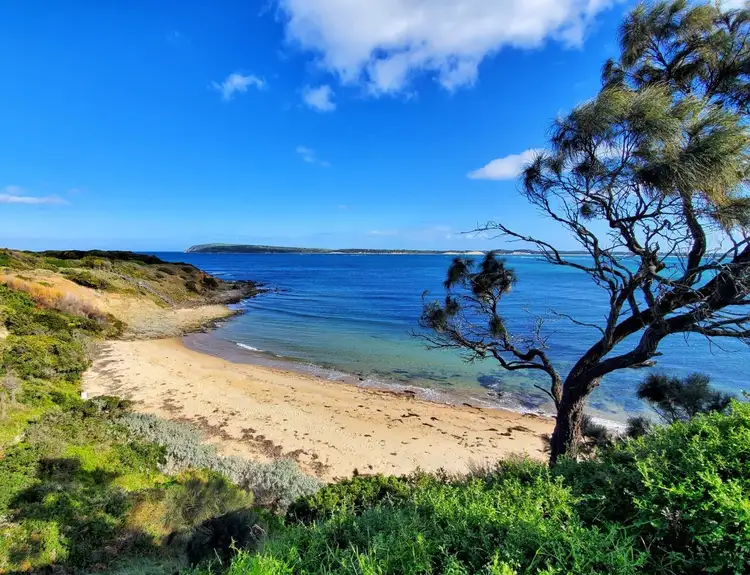 Seventh view of Homely rural property listing, 23 Elsa Terrace, San Remo VIC 3925
