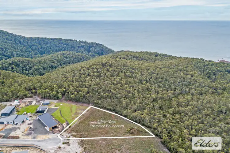 Main view of Homely land listing, 9 Prior Crescent, Heybridge TAS 7316
