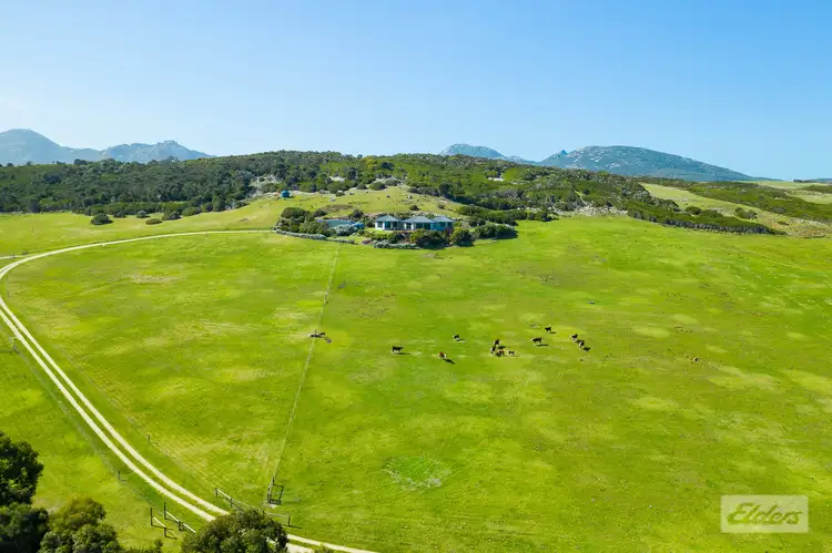 Fourth view of Homely house listing, 60 Virieux Road, Whitemark TAS 7255