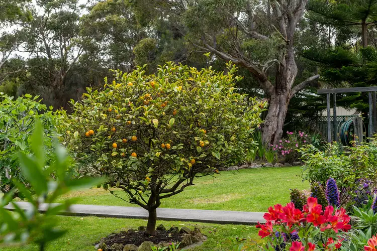 Seventh view of Homely rural property listing, 539 Memana Road, Whitemark TAS 7255