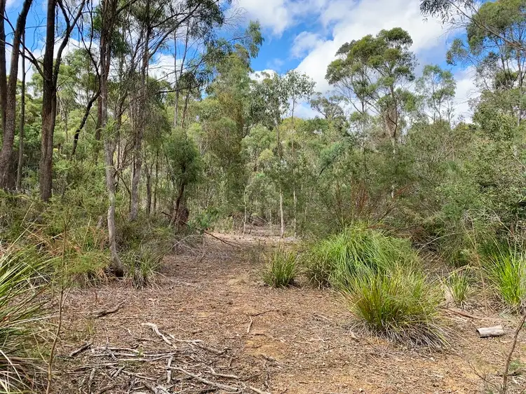216 Magazine Road, Dilston TAS 7252