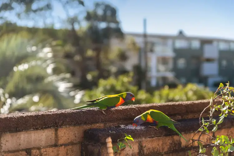Third view of Homely apartment listing, 5/12 Mactier Street, Narrabeen NSW 2101