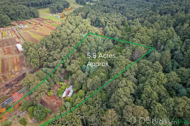 3505 Yarra Junction-Noojee Road, Piedmont VIC 3833