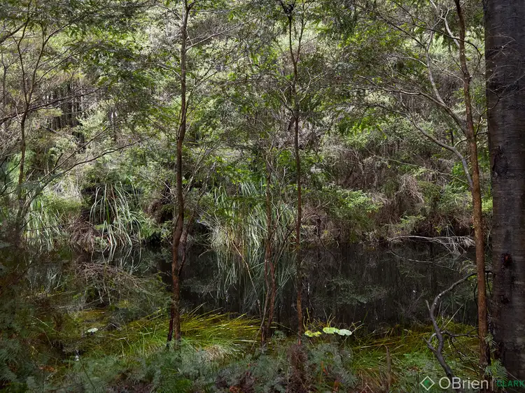 Seventh view of Homely land listing, 3505 Yarra Junction-Noojee Road, Piedmont VIC 3833