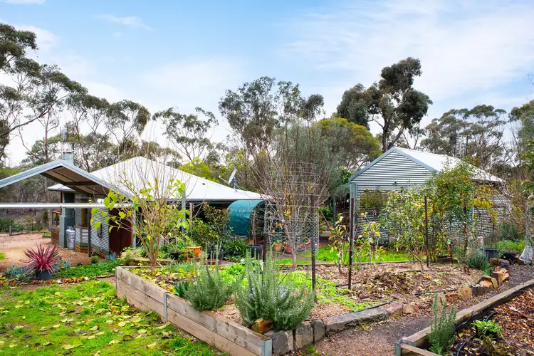 Fourth view of Homely house listing, 1003 Castlemaine-Maldon Road, Maldon VIC 3463