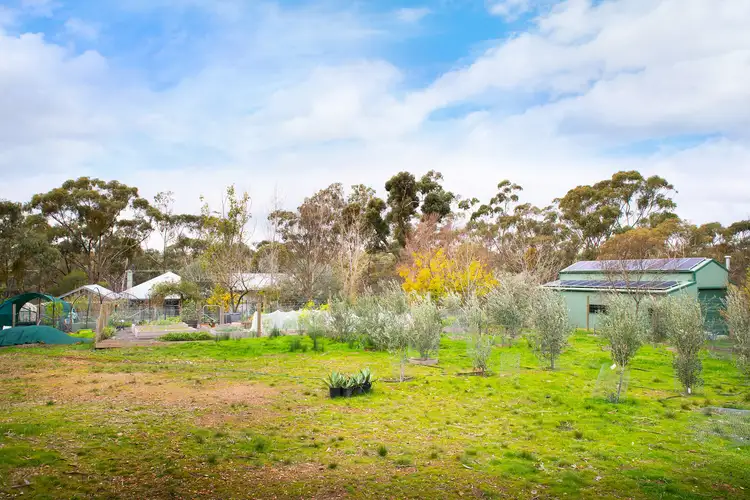 Fifth view of Homely house listing, 1003 Castlemaine-Maldon Road, Maldon VIC 3463