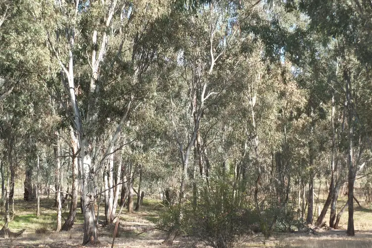 Fourth view of Homely rural property listing, 87 Navarre Street, Redbank VIC 3477