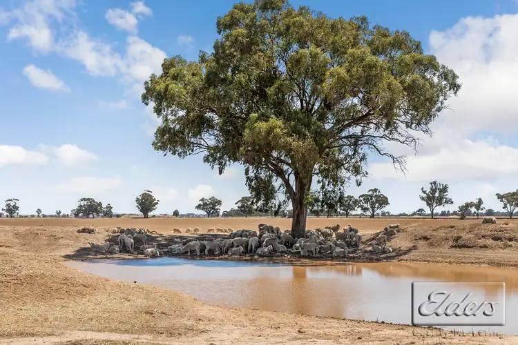Michael Road, Sutherland VIC 3477