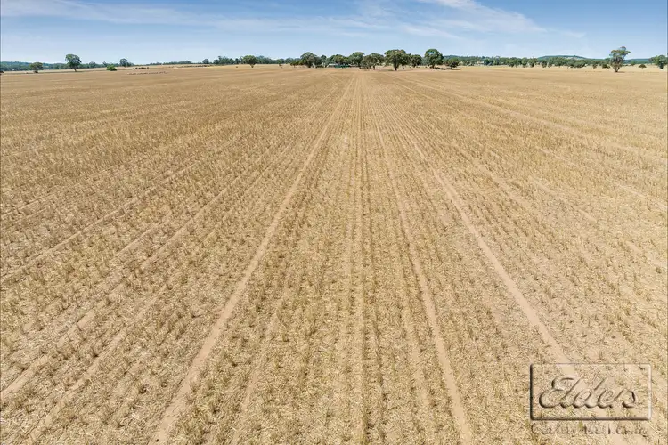 Fourth view of Homely rural property listing, Michael Road, Sutherland VIC 3477