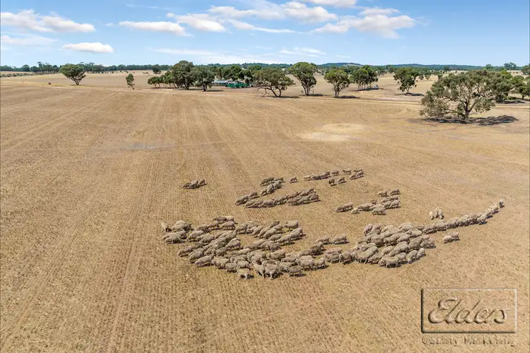 Fifth view of Homely rural property listing, Michael Road, Sutherland VIC 3477