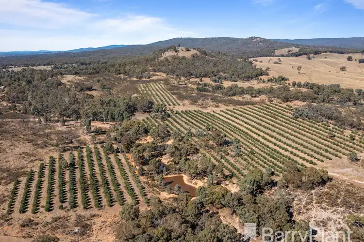 Main view of Homely rural property listing, LOT 29 Teddington Road, Stuart Mill VIC 3477
