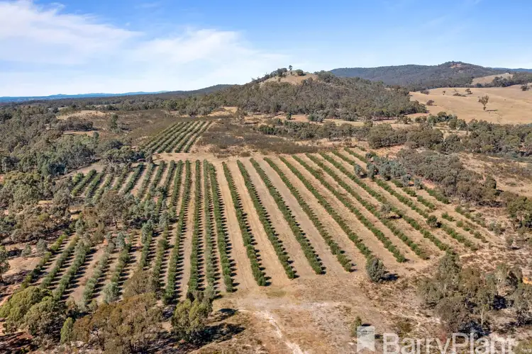 Second view of Homely rural property listing, LOT 29 Teddington Road, Stuart Mill VIC 3477