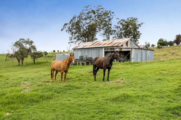 Sixth view of Homely rural property listing, 1312 Haden Crows Nest Road, Haden QLD 4353