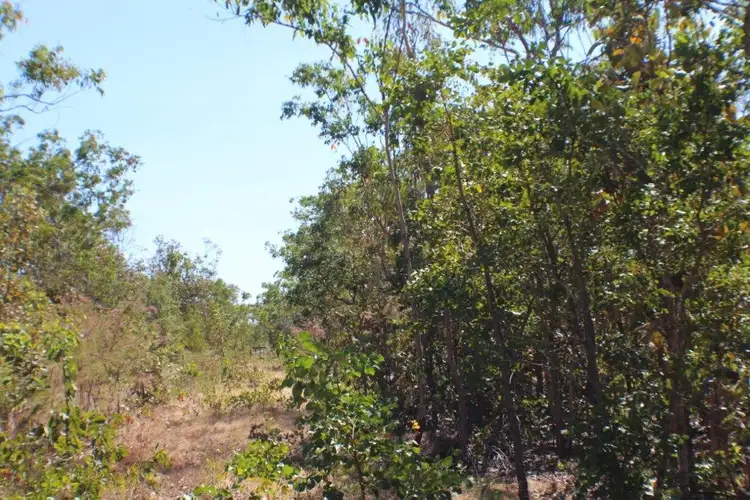 Seventh view of Homely land listing, LOT 8, 115F Stockwell Road, Blackmore NT 822