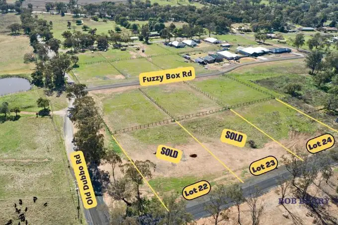 LOT 24, 51 Old Dubbo Road, Geurie NSW 2818