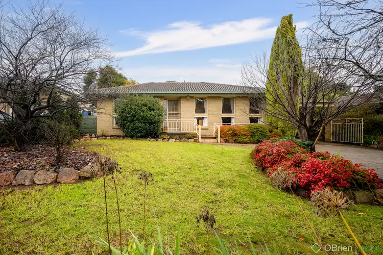 Main view of Homely house listing, 133 Williams Road, Wangaratta VIC 3677