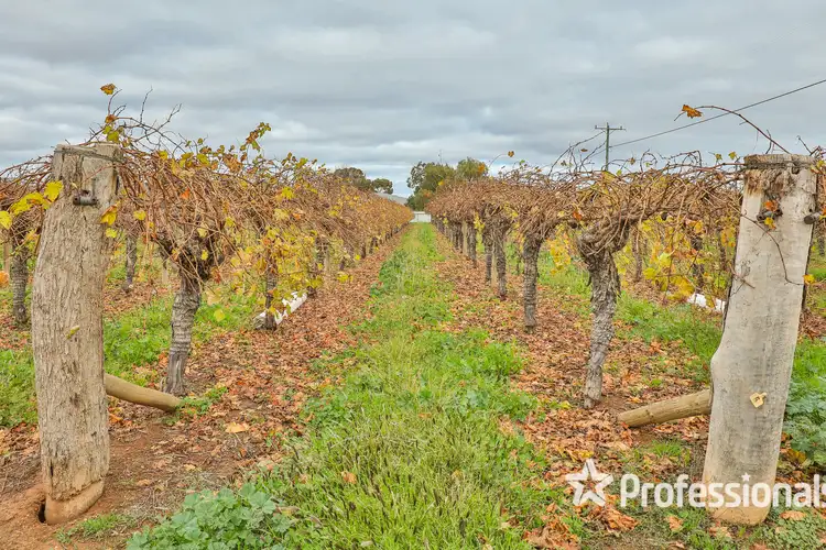 Seventh view of Homely rural property listing, 740 Karadoc Avenue, Irymple VIC 3498