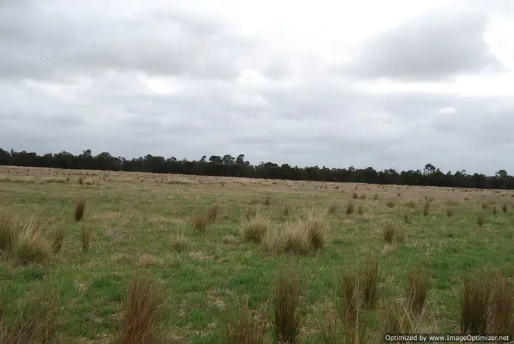 Second view of Homely rural property listing, 285 Lower Goon Nure Road, Goon Nure VIC 3875