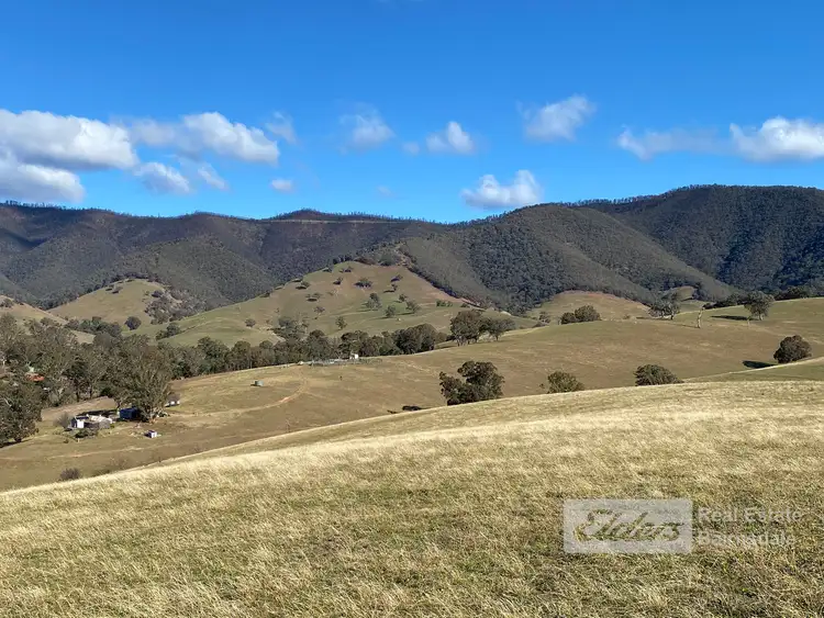 Third view of Homely rural property listing, 100 Dukes Access Road, Ensay VIC 3895