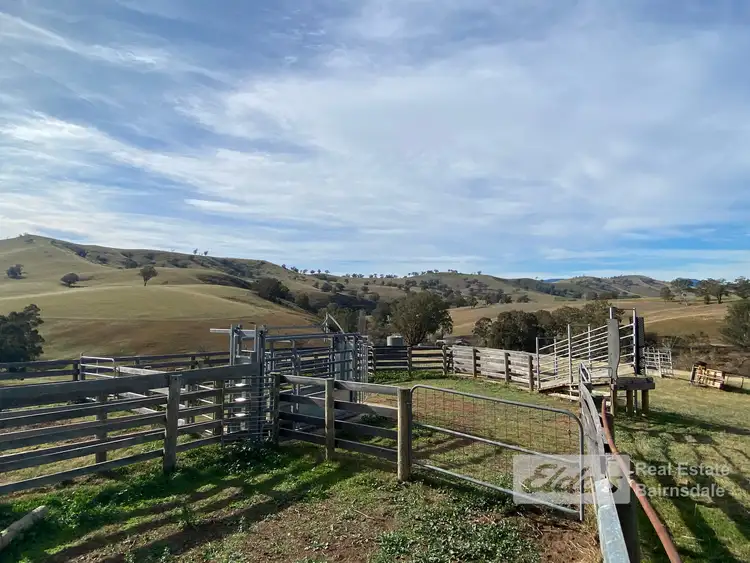 Seventh view of Homely rural property listing, 100 Dukes Access Road, Ensay VIC 3895