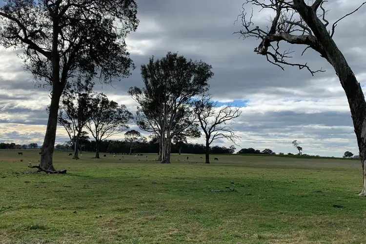 Third view of Homely rural property listing, 620 Fernbank-Glenaladale Road, Fernbank VIC 3864