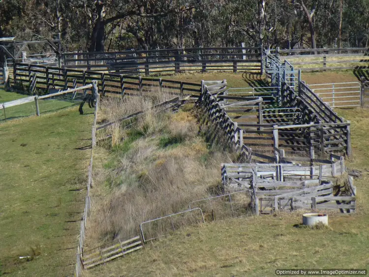 Third view of Homely rural property listing, Reedy Creek Road, Ensay VIC 3895