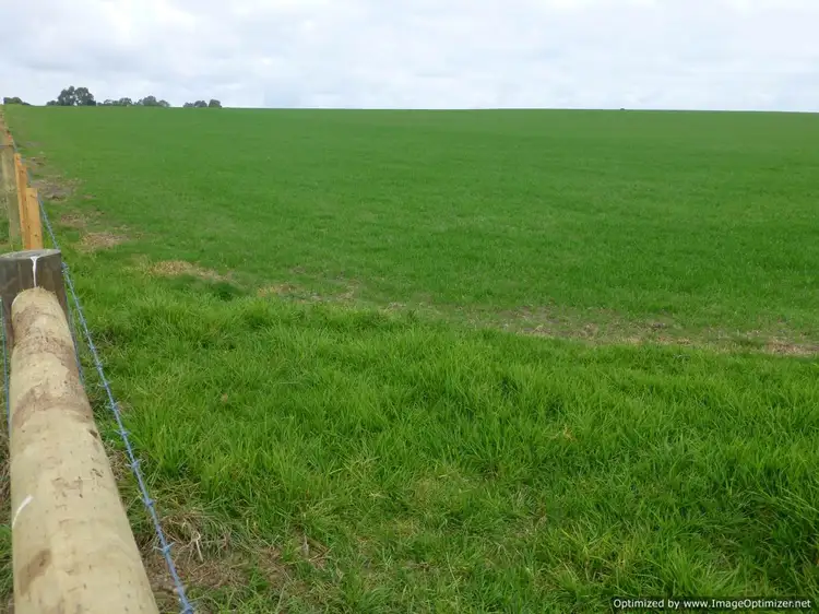Fourth view of Homely rural property listing, 205 Buchanans Road, Bairnsdale VIC 3875