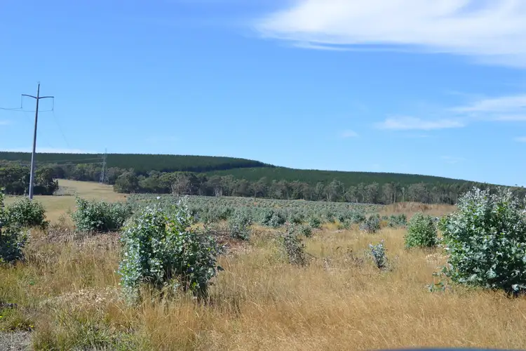 Second view of Homely rural property listing, Pieras Road, Hiamdale VIC 3847