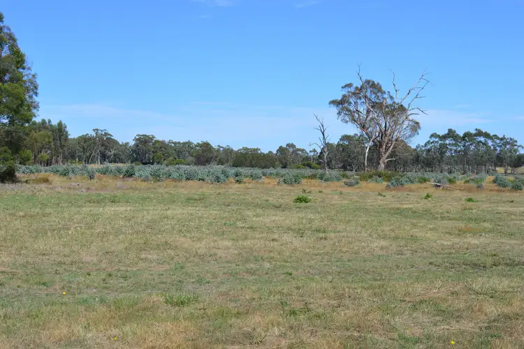 Third view of Homely rural property listing, Pieras Road, Hiamdale VIC 3847