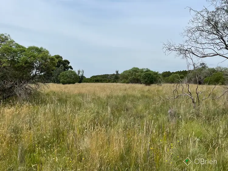 Second view of Homely rural property listing, 24 View Hill Avenue, Hollands Landing VIC 3862