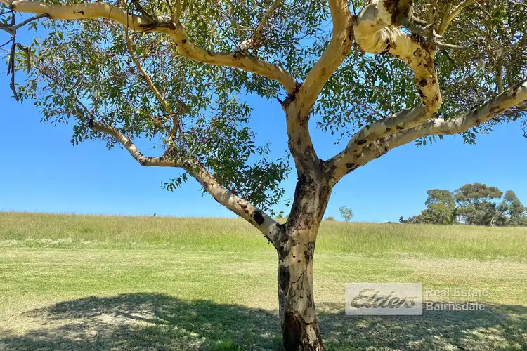 Seventh view of Homely land listing, 8 Raintree Court, Sarsfield VIC 3875