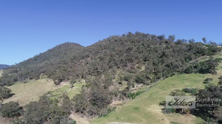 Seventh view of Homely house listing, 161 Dargo High Plains Road, Dargo VIC 3862