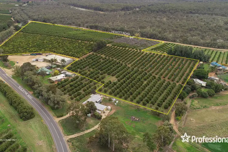 Main view of Homely rural property listing, 50 Hewett Road, Colignan VIC 3494