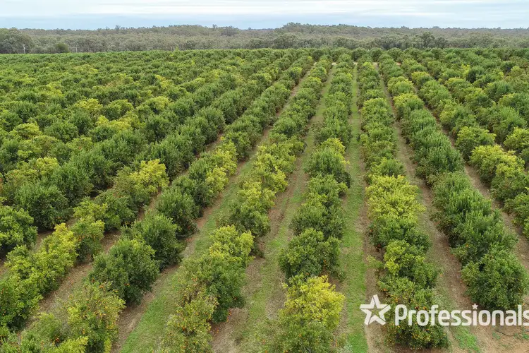 Second view of Homely rural property listing, 50 Hewett Road, Colignan VIC 3494
