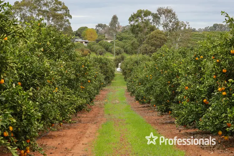 Third view of Homely rural property listing, 50 Hewett Road, Colignan VIC 3494