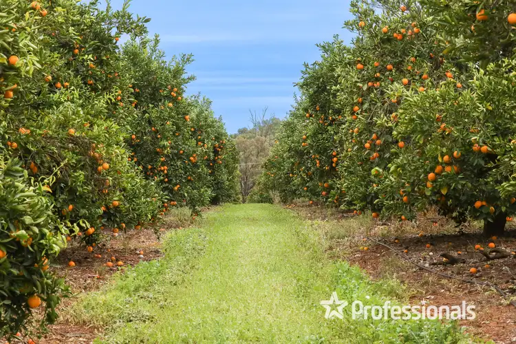 Fourth view of Homely rural property listing, 50 Hewett Road, Colignan VIC 3494