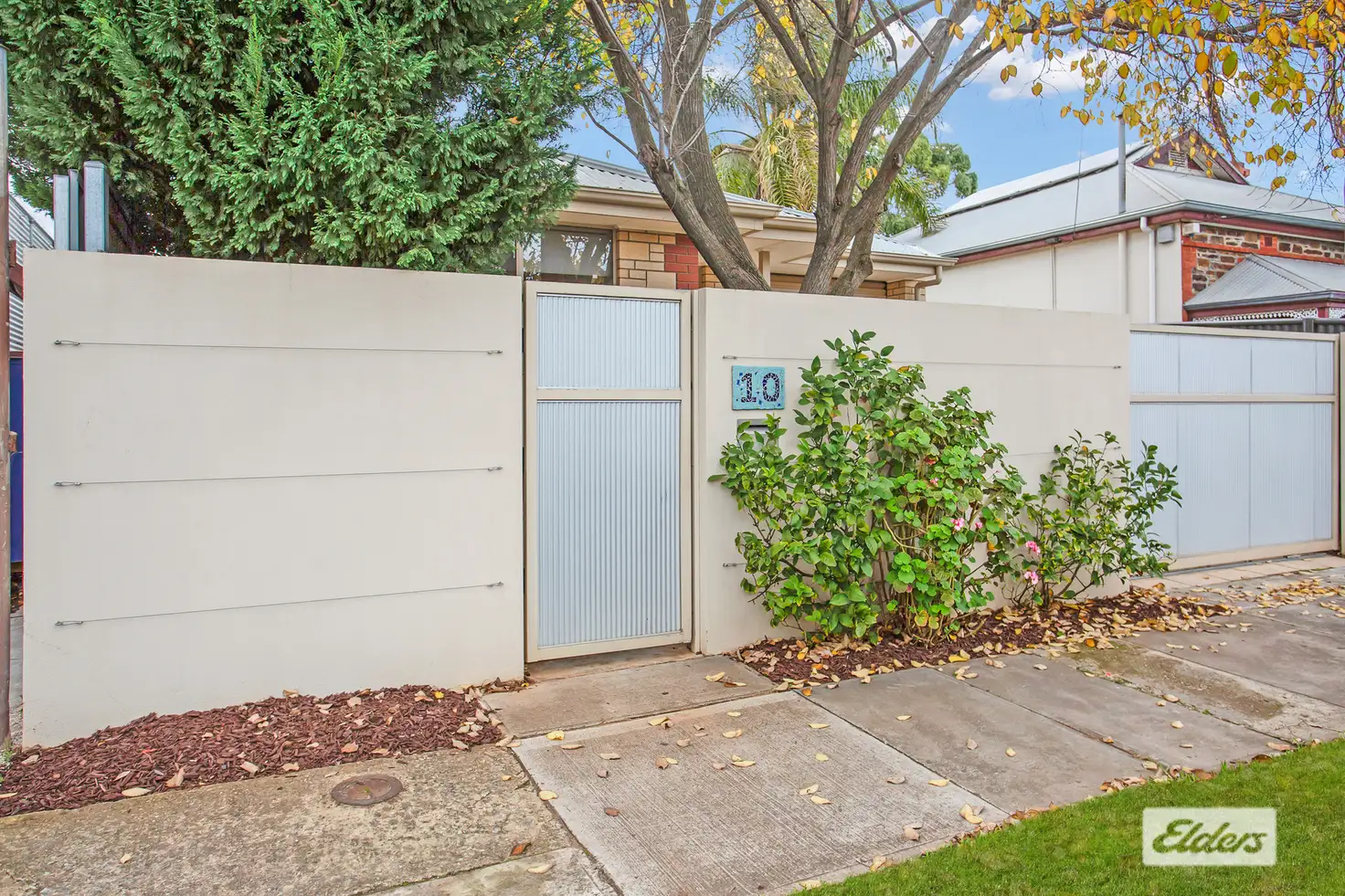 Main view of Homely house listing, 10 Albemarle Street, West Hindmarsh SA 5007